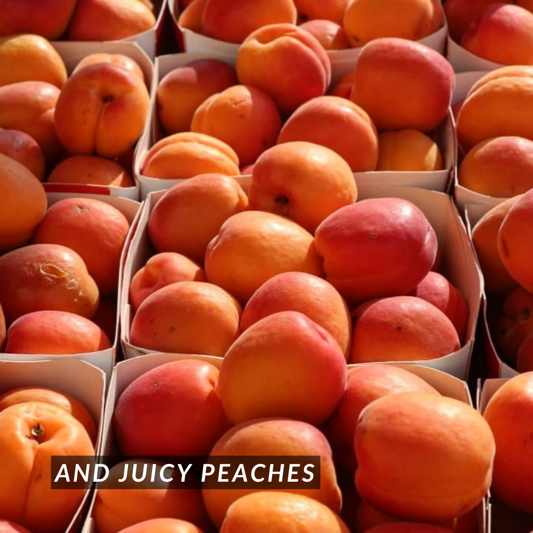 B. [Summer Edition] Peach Nectarine Cordial 450g (Halal, Vegan)