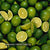 B. Kiwi Lime Mint Cordial 450g (Halal, Vegan)