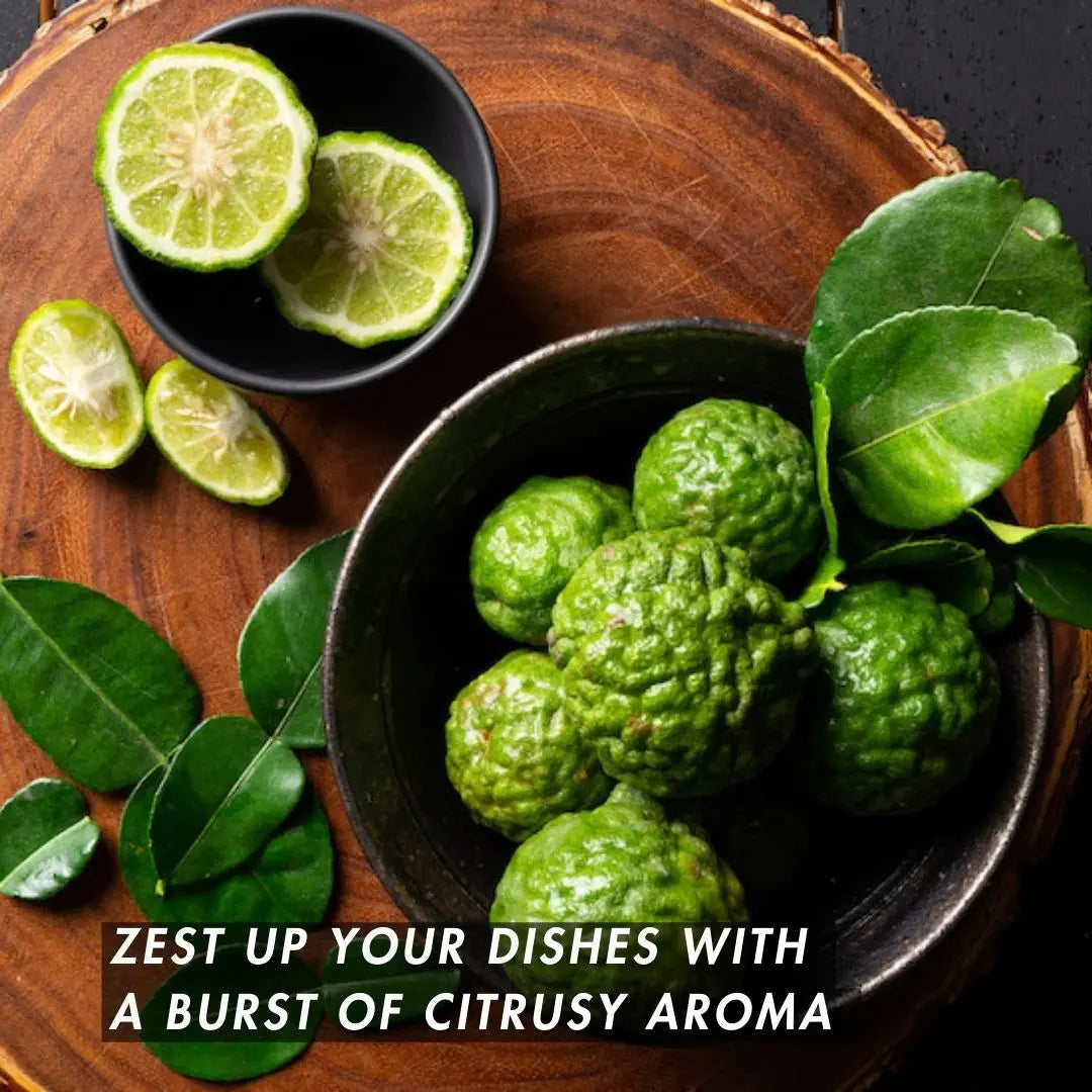 E. Kaffir Lime Tree | Thai Lime Tree: PICK UP only_Spices & Seasonings